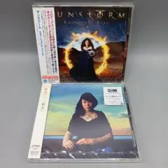 SUNSTORM―Emotional fear サンストーム/エモーショナル - メルカリ