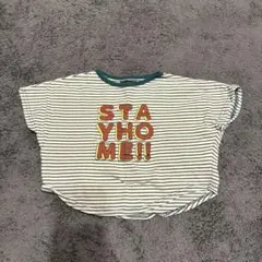ストライプ柄 クロップドTシャツ