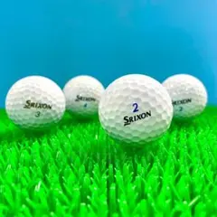 y23□ロストボール スリクソン 各種混合 ホワイト 24球 B