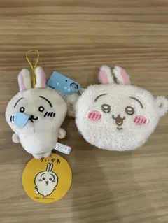 Item thumbnail for item 2059aa57-8387-4098-a6f9-a9e3aae31cab