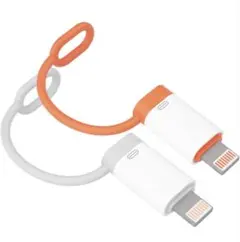 Type C to ライトニング 変換アダプタ【MFi認証製品】OTG機能