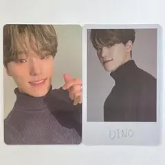 INCOMPLETE ディノ　トレカ