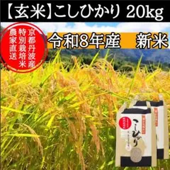 新米【 白米 】20kg 特別栽培米こしひかり 令和8年産 節減対象農薬6