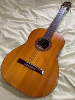 2026年最新】maruha guitarの人気アイテム - メルカリ