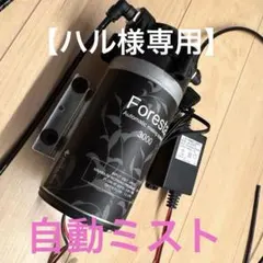 2025年最新】ミスティングシステムの人気アイテム - メルカリ