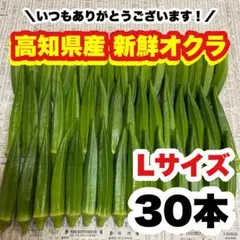 L 30本 高知県産 オクラ 野菜 即購入OK 産地直送 pgj34211のサムネイル