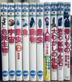 ★10冊セット★小学館の図鑑NEO