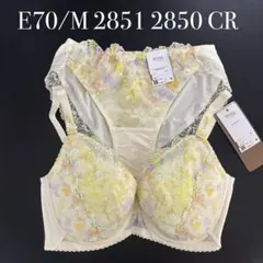 E70/M 2851 2850 CRワコール　ウイング レシアージュのサムネイル