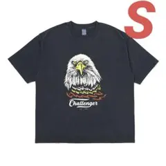 Lsize CHALLENGER PIGMENT PEACE TEE 長瀬智也 - メルカリ