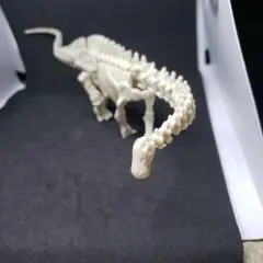 ガチャガチャ 恐竜化石