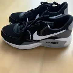 Nike Air Max ブラック