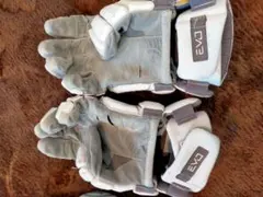 Item thumbnail for item 23698765-1d73-4563-93aa-51f68e1987a1