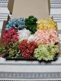 Item thumbnail for item c7975963-f851-43e5-8350-9e133ff08d6e