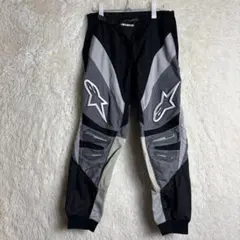 アルパインスターズ メッシュパンツ L - メルカリ