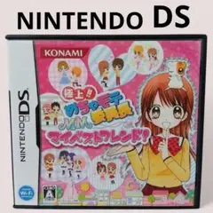 任天堂DS　極上!!めちゃモテ委員長 MMマイベストフレンド　説明書付