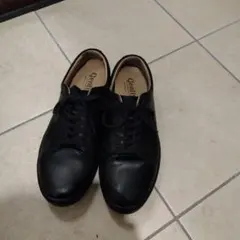 ムーンスターMoonStar WorldMarch Gently GE102