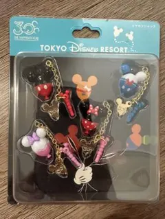 新品！東京ディズニーリゾート イヤホンジャック キーホールダー ミッキー ミニー