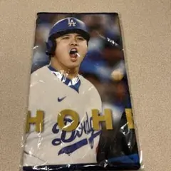 大谷翔平 MLB PLAYERS タンブラー Tシャッツ 保冷バッグ クッション