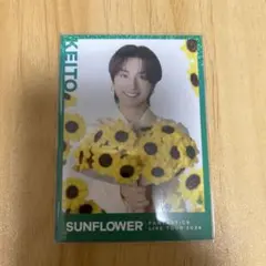 木村慧人 シークレット