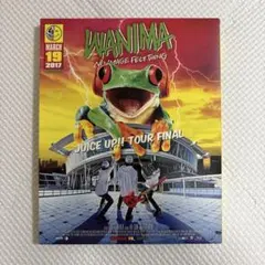 WANIMA JUICE UP!! TOUR FINAL DVD