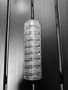 Item thumbnail for item 9dbd1889-7eb4-4458-9295-cef565bed7ee