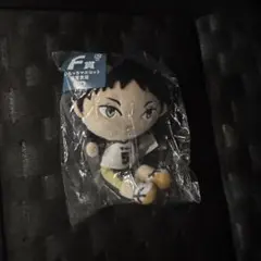 ハイキュー!! ぬいもっち フリューくじ