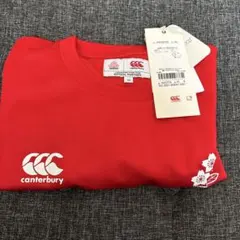 Item thumbnail for item 529f0834-ff40-4176-8ff4-ca0725229ffc