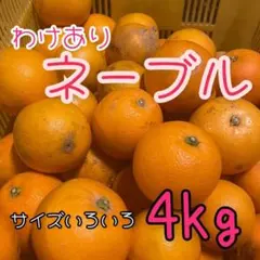 和歌山　ネーブル　4キロ　混合　訳あり