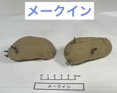 プーちゃん様 リクエスト 3点 まとめ商品