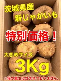 ❣️特別価格❣️茨城県産　新じゃがいも　3Kg　大きめサイズのサムネイル