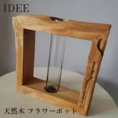 Item thumbnail for item 62f4499e-a9b1-494d-8bb4-0f574dde4fa1