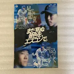 五十幡亮汰 矢澤宏太 まだ見ぬ景色を、エスコンで。 ステッカー