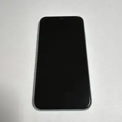 Apple iPhone 11 256GB 動作良好SIMフリーミントグリーン