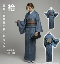 正絹 紬調 フルセット 大島風　小紋　未着用　マ3A