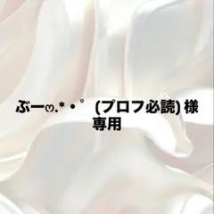 ぶー‪ෆ‪.*・゜(プロフ必読) 様　専用