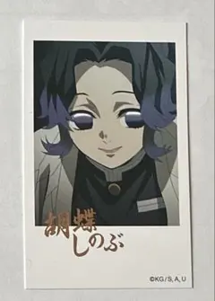 鬼滅の刃 胡蝶しのぶ 20巻 特装版 ポストカード 謹製絵葉書 特典 10枚
