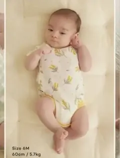 AyA様 リクエスト 2点 まとめ商品