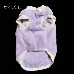 Item thumbnail for item e10ded83-d890-4ac7-99e0-9bd7521c1700