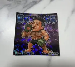 希少】萩原京平 RIZIN 記念カード2枚セット - メルカリ