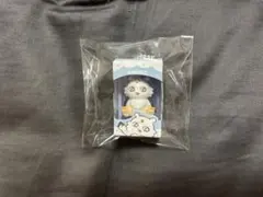 ちいかわ あのこ チョコボックス