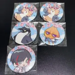 Crazy Raccoon CR FES 2025 ランダム缶バッジ セット - メルカリ