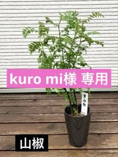 kuro mi様 リクエスト 2点 まとめ商品