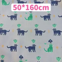 Item thumbnail for item 737a7f8c-dbb7-4341-9447-482407744e34