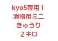 kyo5様専用！漬物用ミニきゅうり　２キロ　小さめ