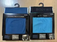 価格破壊⭐️BODYWILD⭐️GUNZE⭐️ボディワイルド⭐️ボクサーパンツ