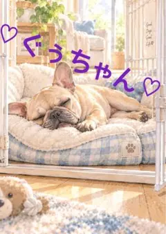《一点限り》フレンチブルドッグ ケージでお昼寝 犬
