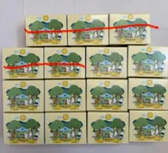 ムーミンバレーパーク限定アラビアマグカップ〔新品未使用〕１０点セット