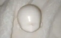 bonbonGalaxy　美纪 & 悠里 ヘッド