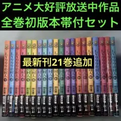 LV999の村人 全巻帯付きセット 21巻まで - メルカリ