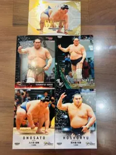 Item thumbnail for item 5c9d2fb2-b688-4bae-a8f5-c1c7a271b801